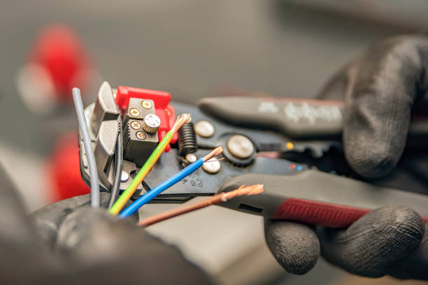 Best Electric Panel Repair  in Bigfoot, TX